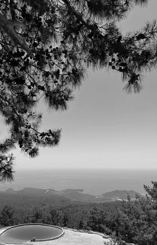 Фотография автора Ирина Мосько