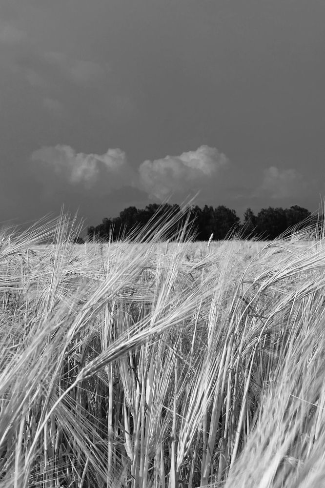 Фотография автора Ирина Мосько