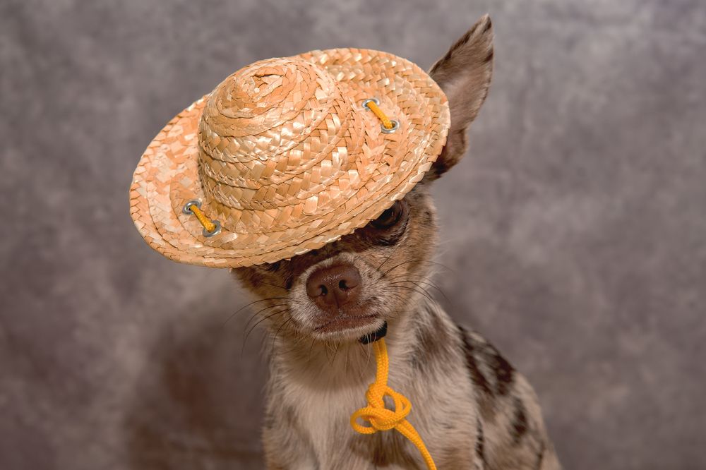 Photograph by Демьян Лопатов