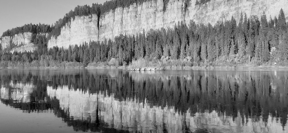 Photo #7788130