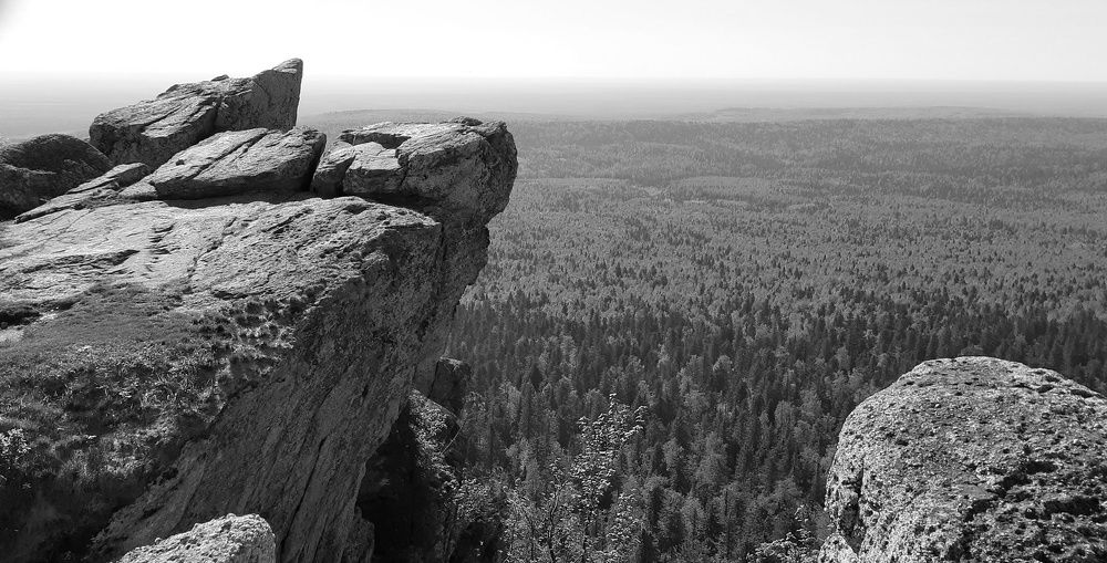Photo #7788133