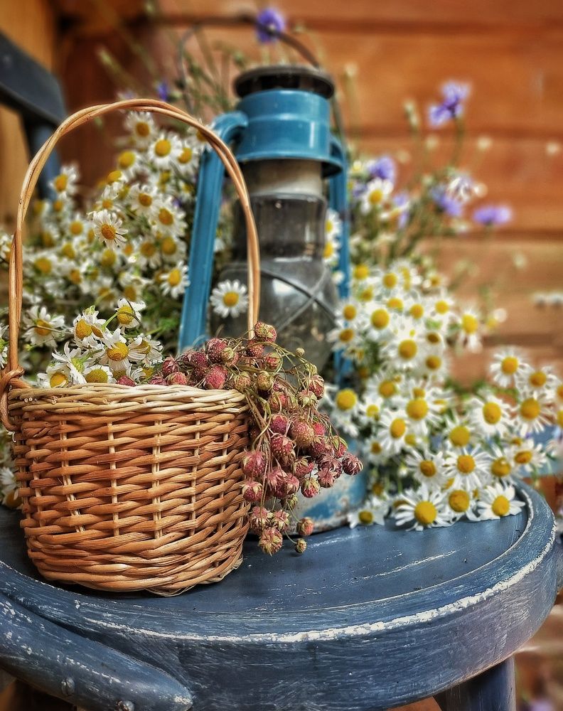 Photograph by 