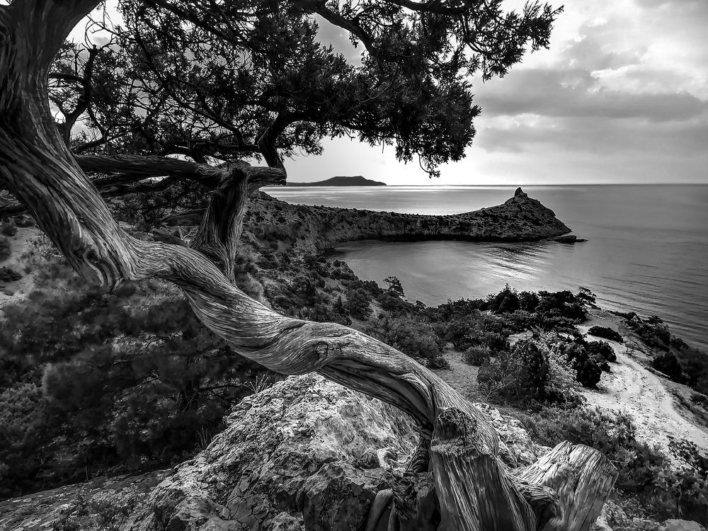 Диагональ Нового Света