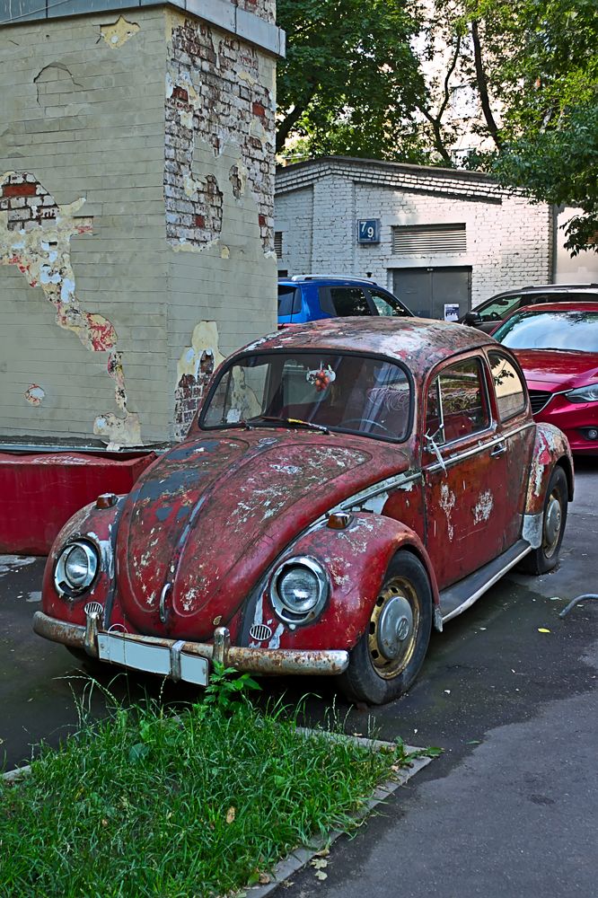 Photograph by Евгений Беленков