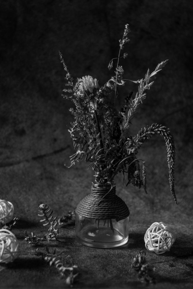 Photograph by Дарья