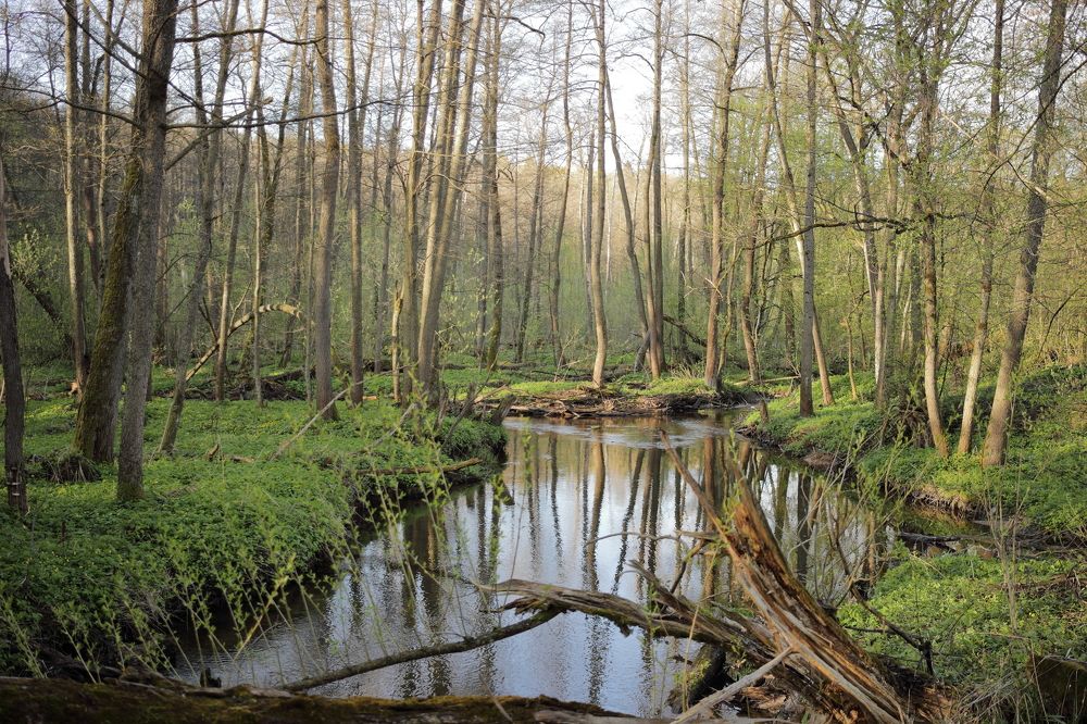 Photograph by Денис Ашуров