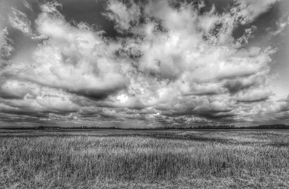 Photograph by Eva Wiedemann