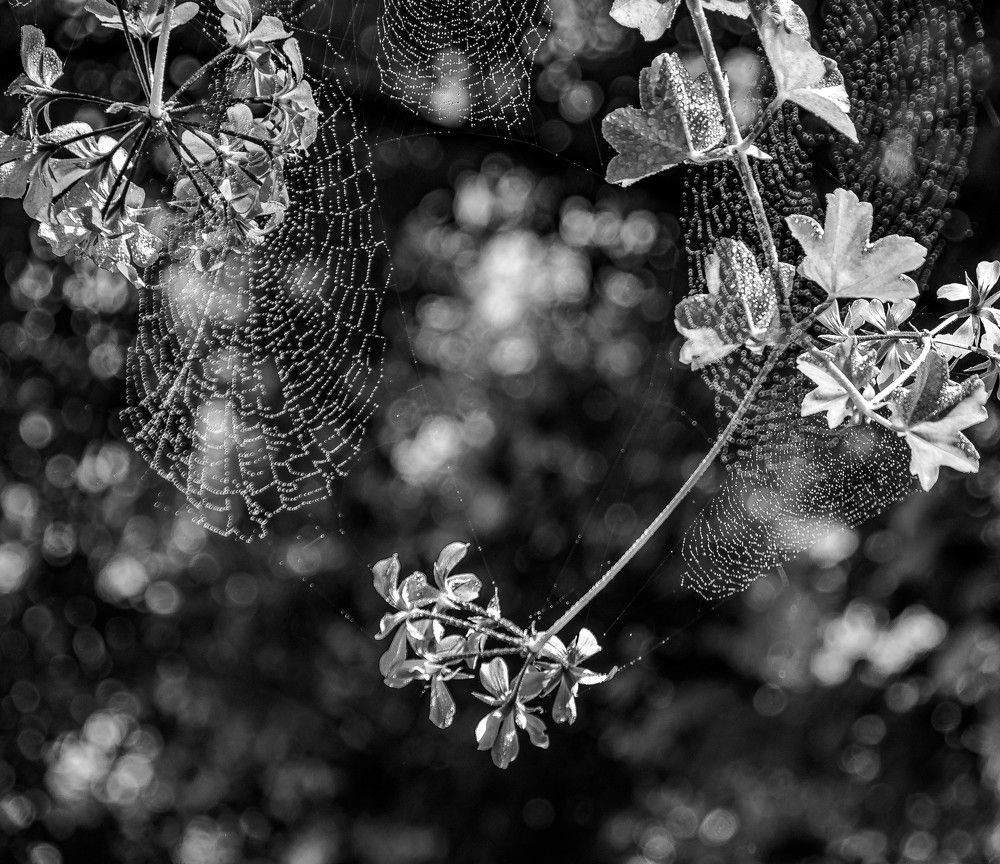 Photograph by Vitalii Kaznin