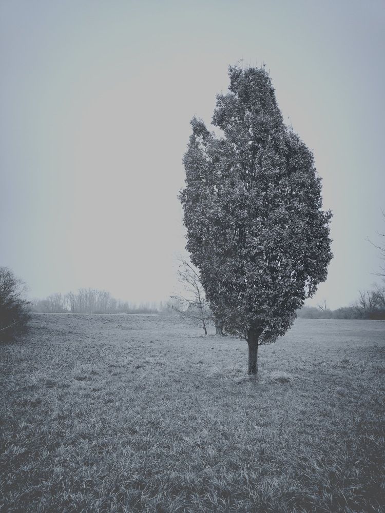 Фотография автора Laura Skwarek