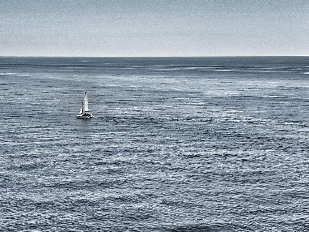 Фотография автора Laura Skwarek