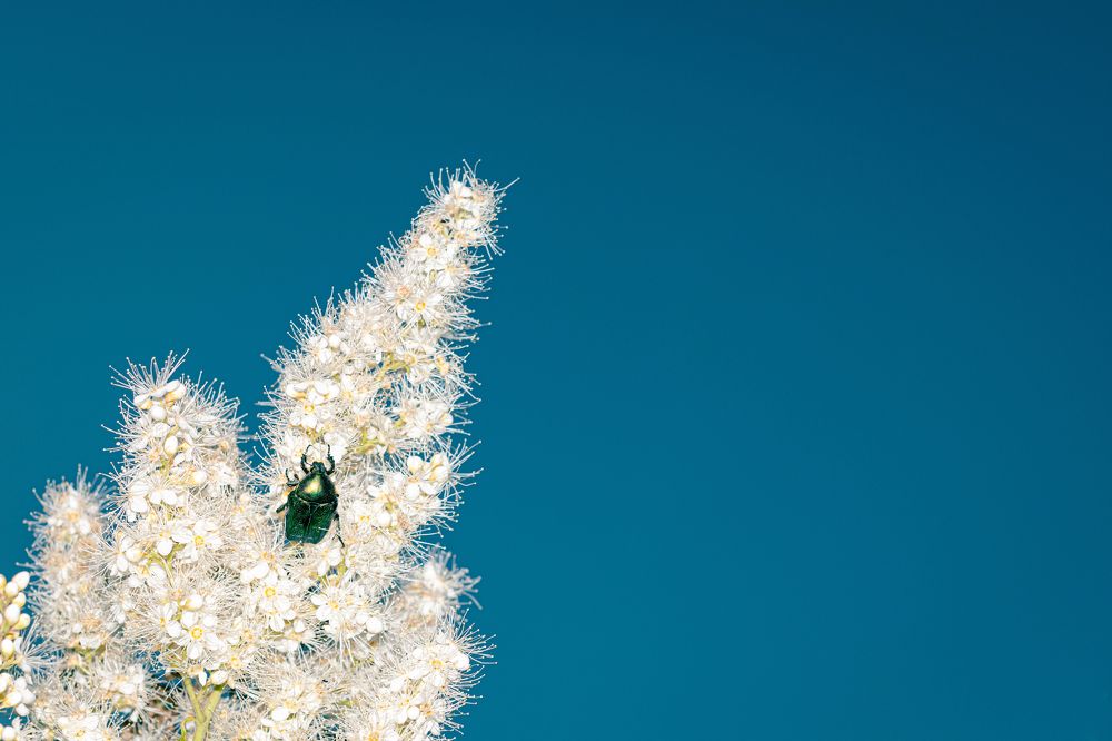 Photograph by Владислав Гаврилюк