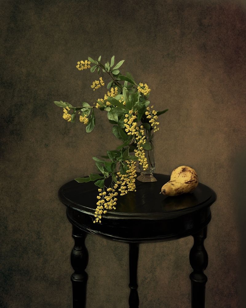 Photograph by Логинова Наталия