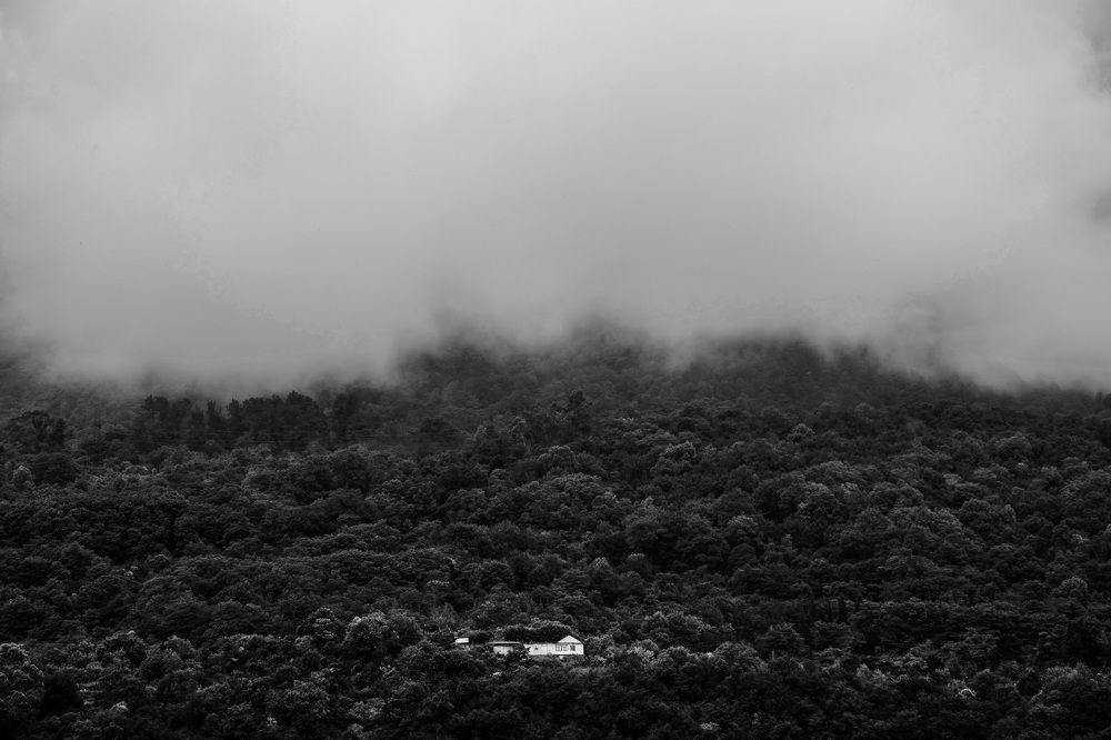 Photograph by Кургузова Дарья