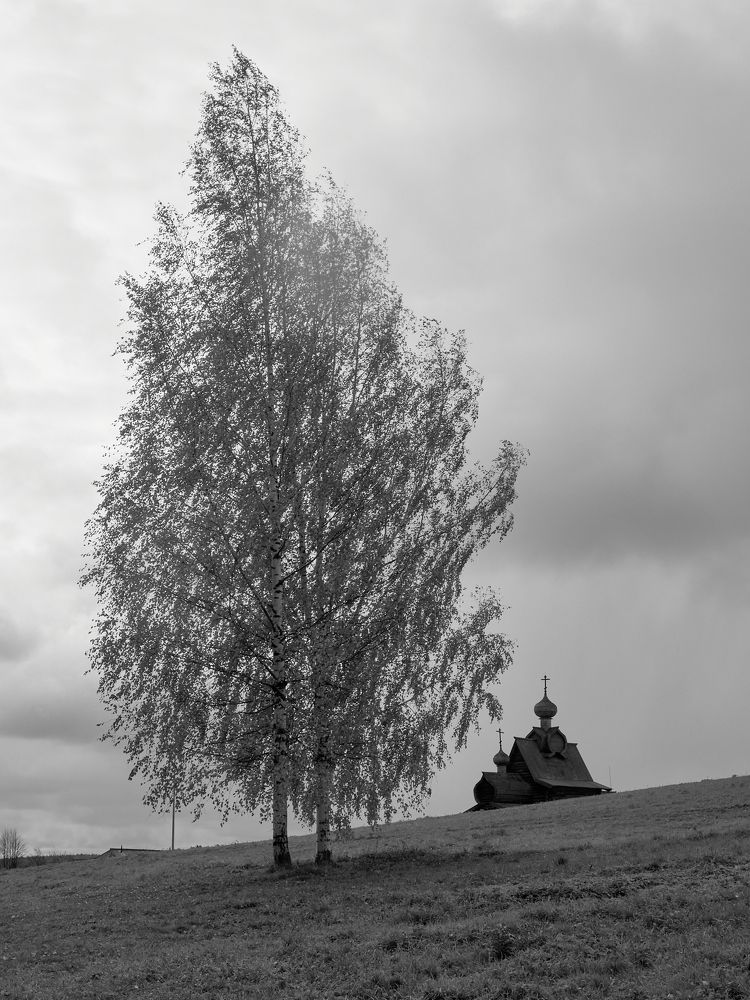 Photograph by Роман