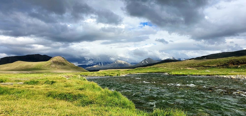 Photo #7788661