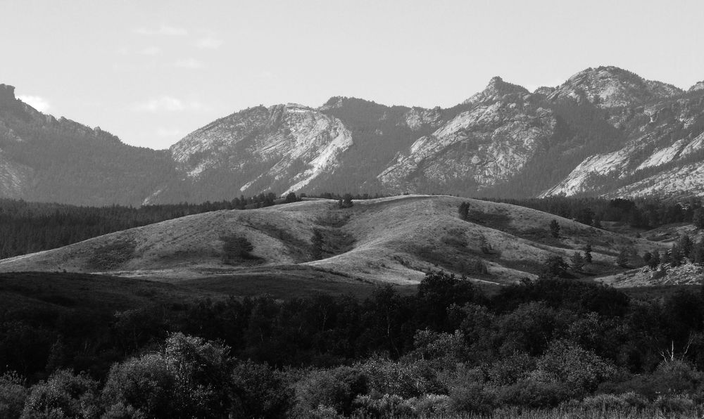 Photograph by Михаил Максимов