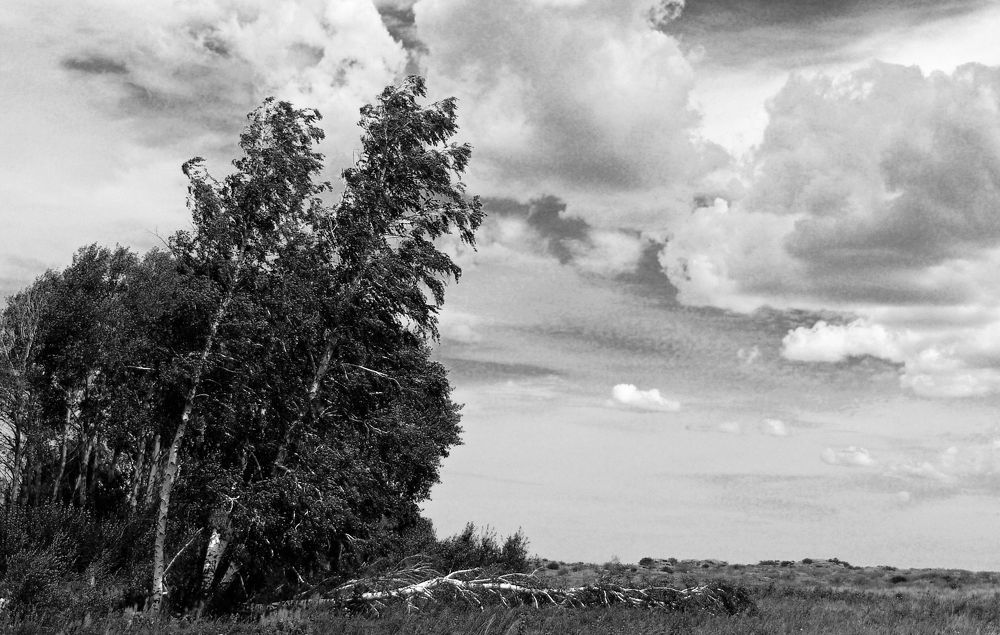 Photograph by Михаил Максимов