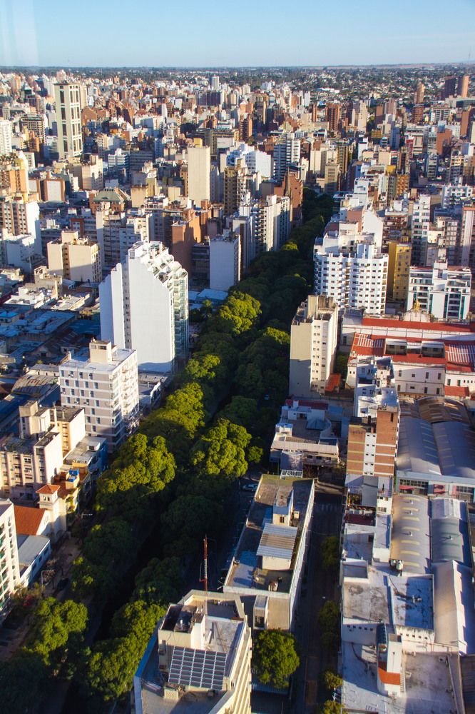 Photograph by Patricia