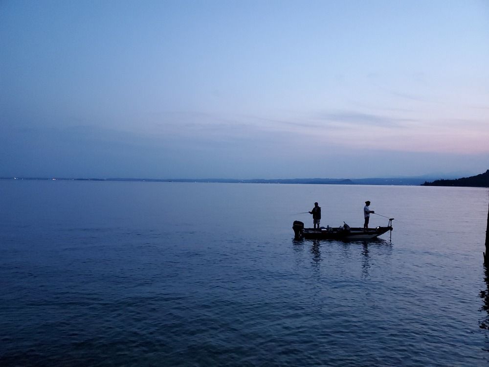 Фотография автора Laura Skwarek