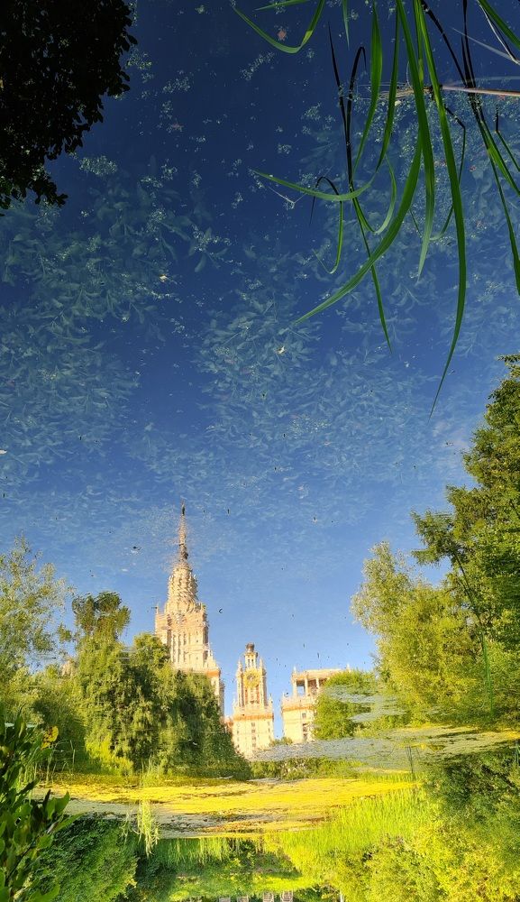 Ботанический сад МГУ