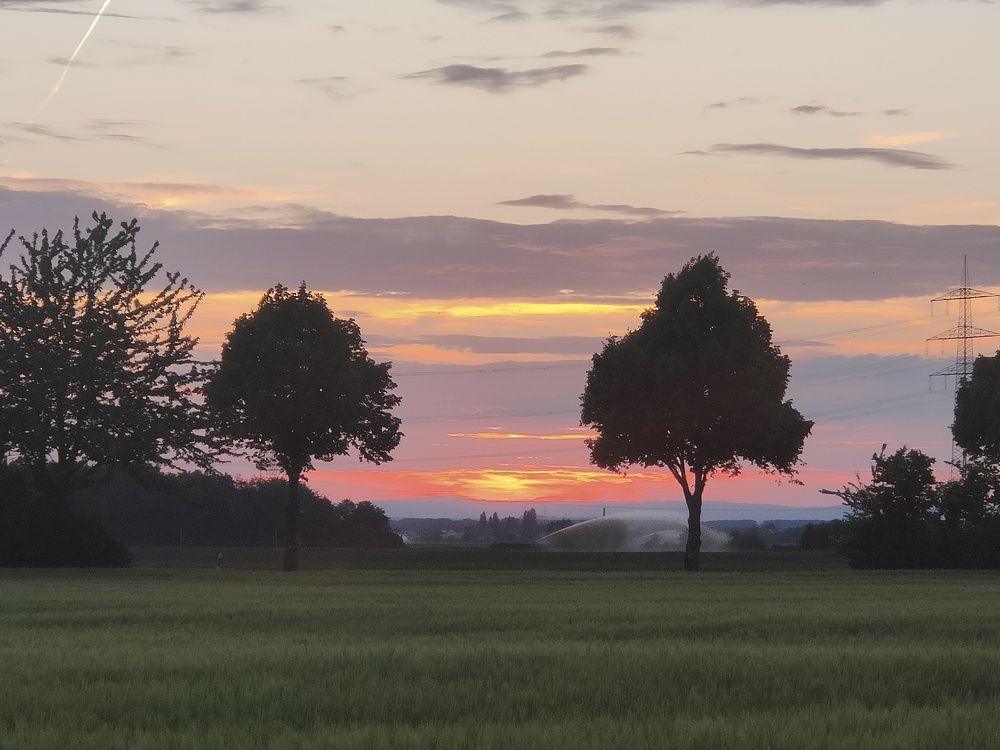 Фотография автора Laura Skwarek