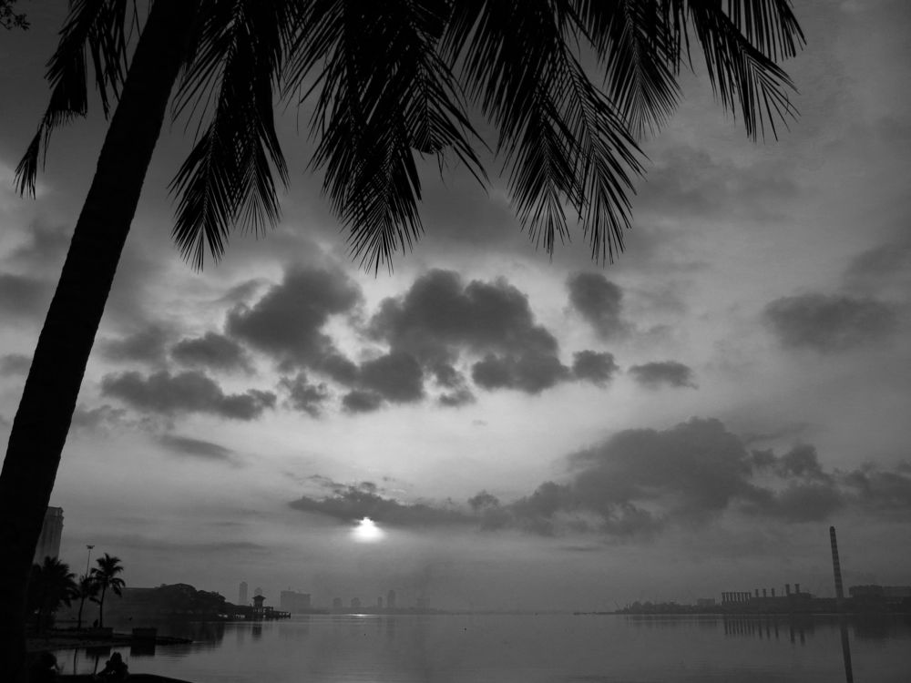 Photograph by Samuel Chan