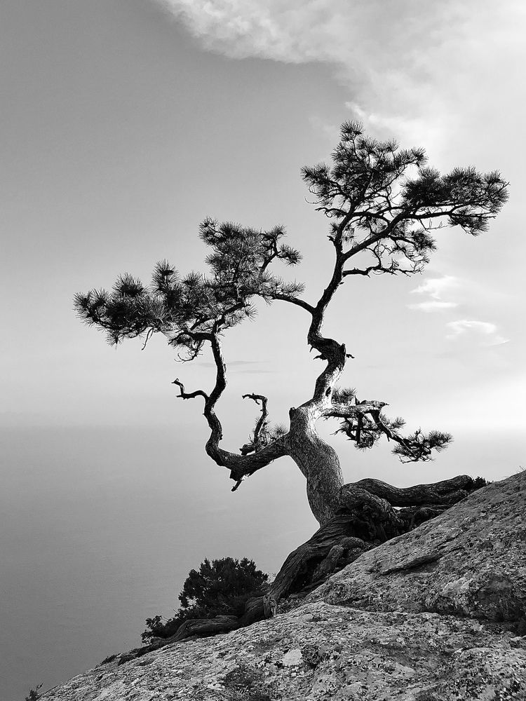 Photograph by Елизавета Медведева