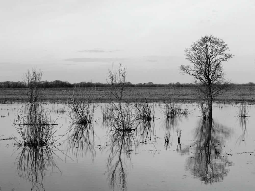 Photograph by Денис Ашуров