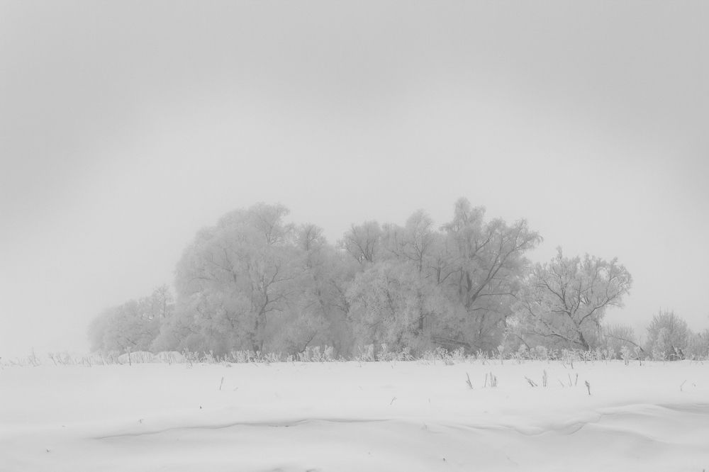 Photograph by Денис Ашуров