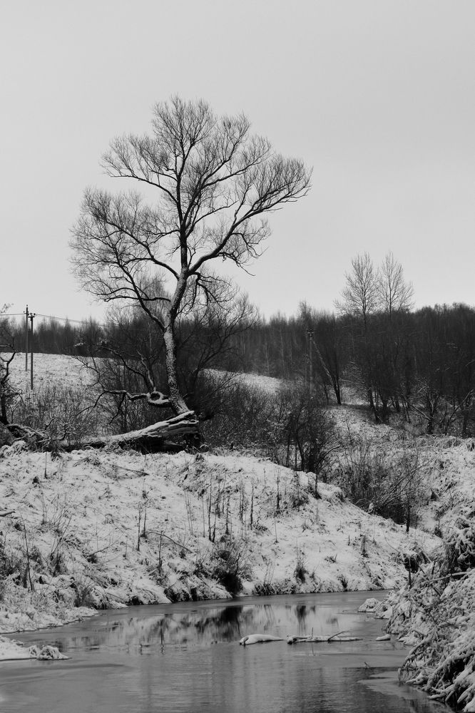 Photograph by Денис Ашуров