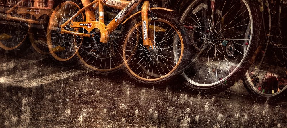 Photograph by Ilya Spektor