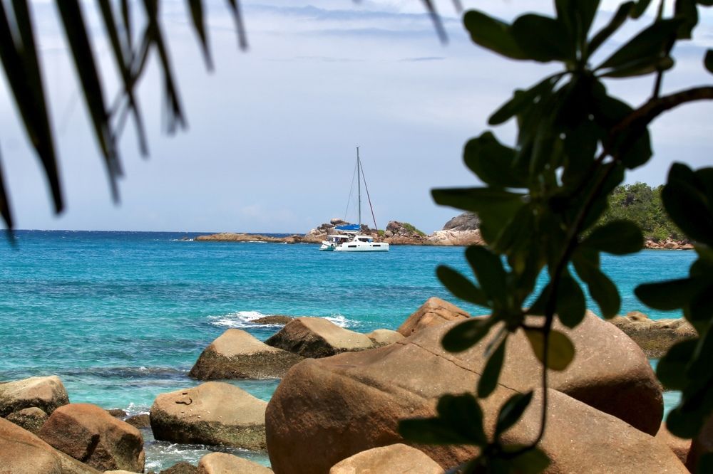 Photograph by Елена Ковалева