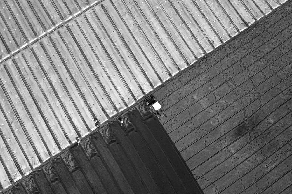 Photograph by TRAN QUY