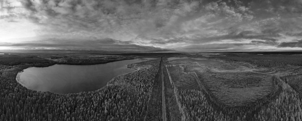 Photograph by Ольга Левакова