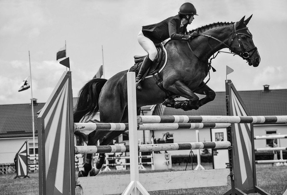 Photograph by Анастасия Савицкая