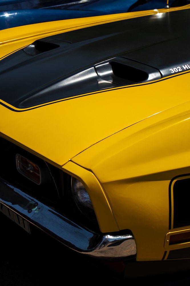 Photograph by Ali Nabatiyan Yazdi