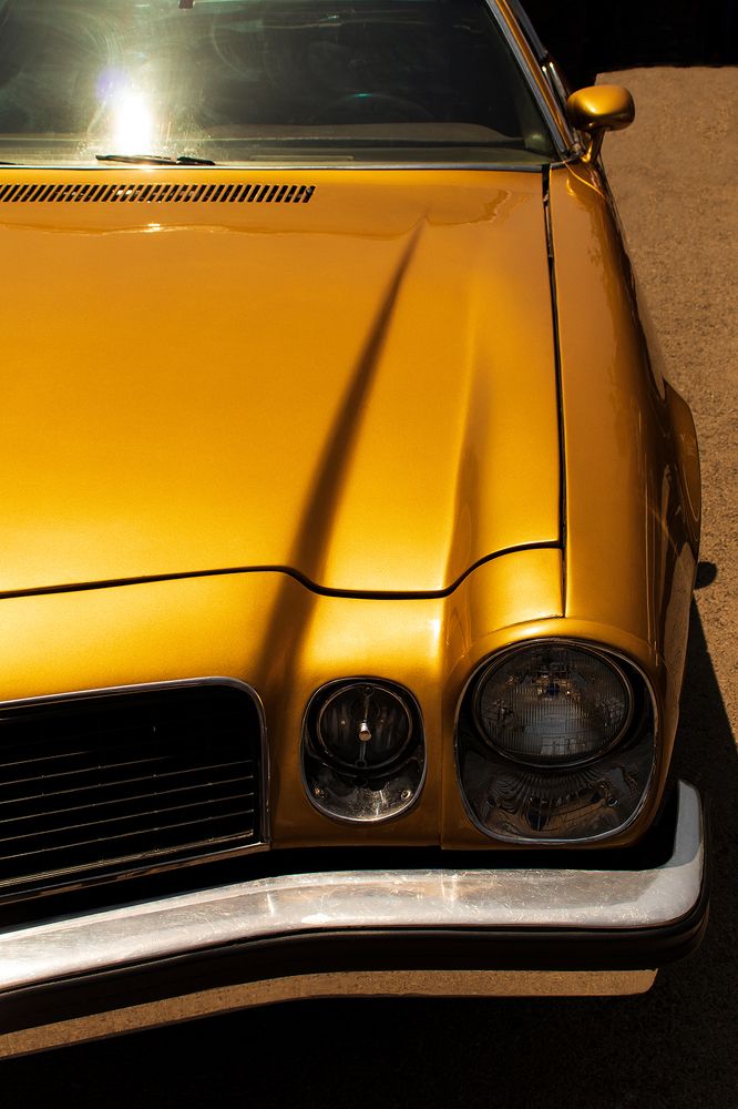 Photograph by Ali Nabatiyan Yazdi