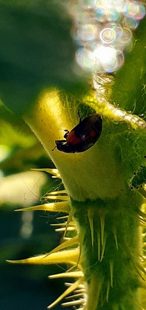 Photograph by Евгения Ульянова