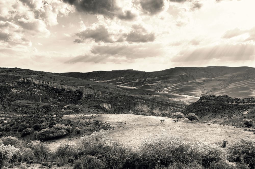 Photograph by Andrew Mikhaylov