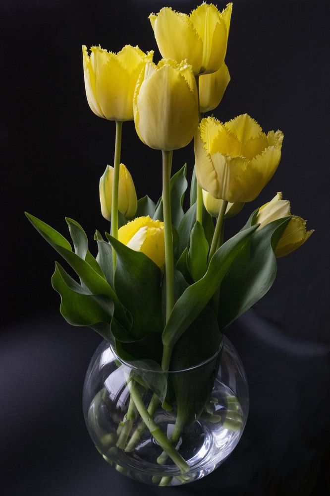 Фотография автора Ирина Зайцева