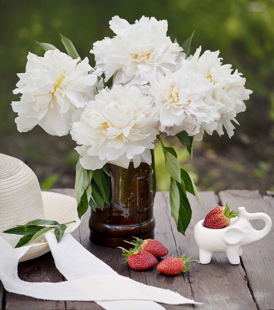 Photograph by Соколова Елена