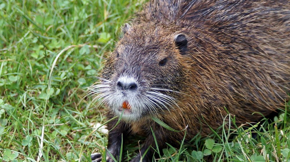 Photograph by Emil Zivanov