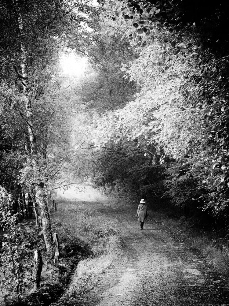 Photograph by Miloš Kostka