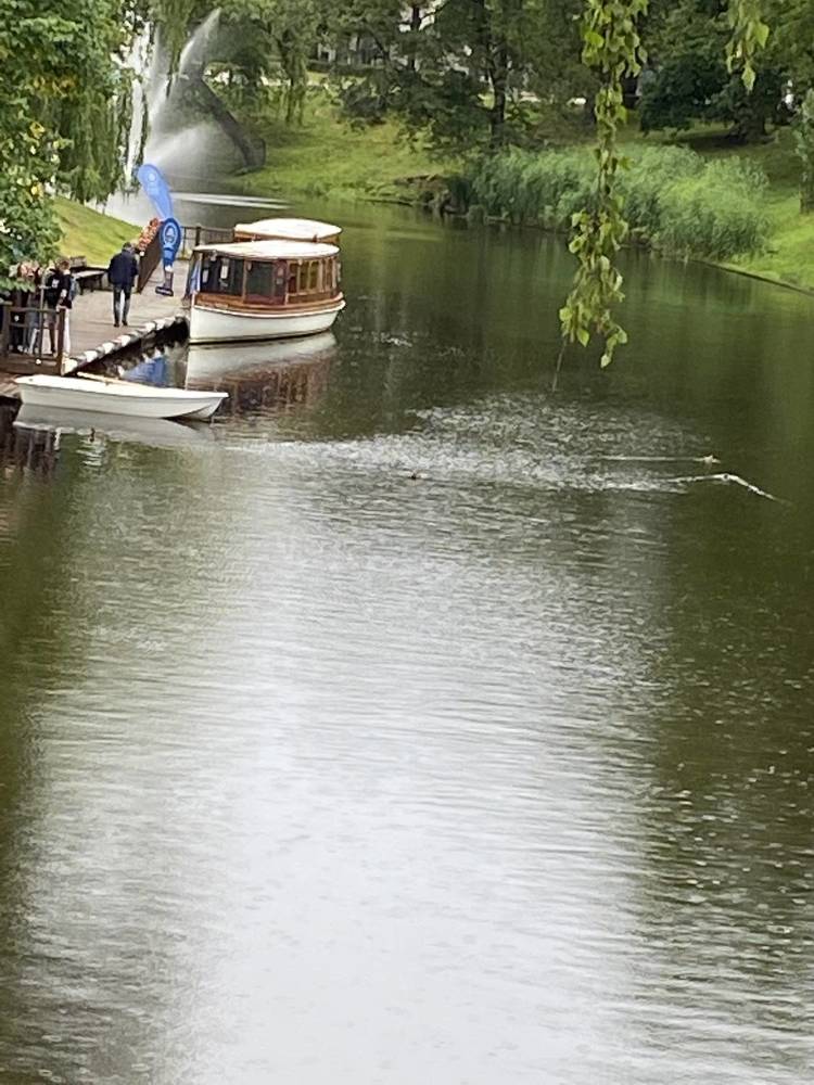 Красивые места города