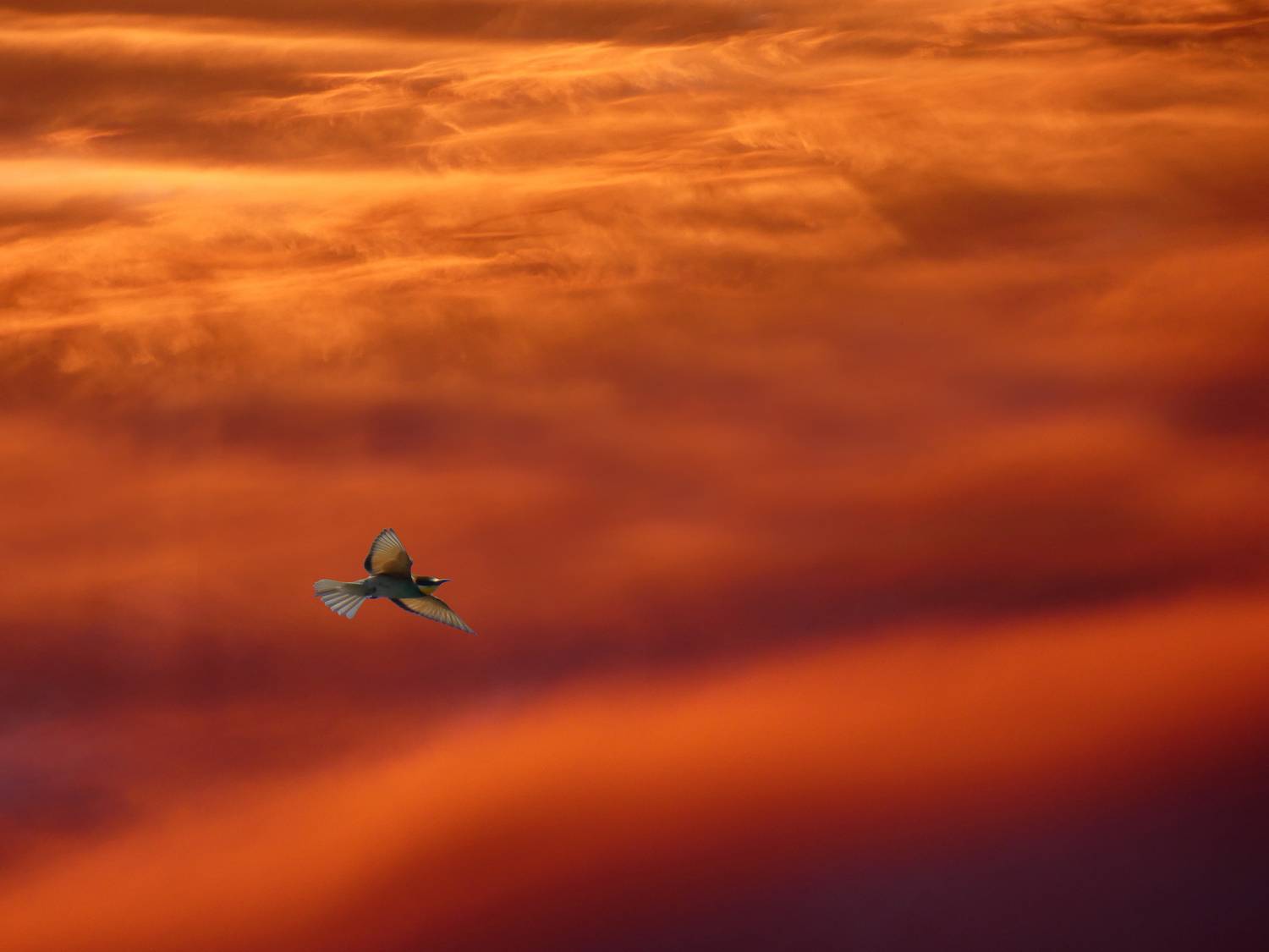 In the sky