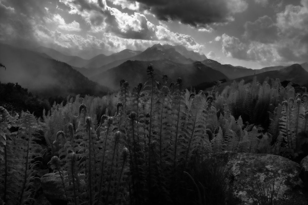 Фотография автора OXANA MARSOVA