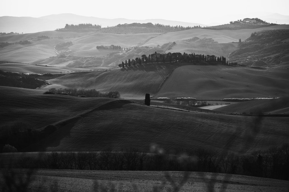 Photograph by Seif Eddine Alaa