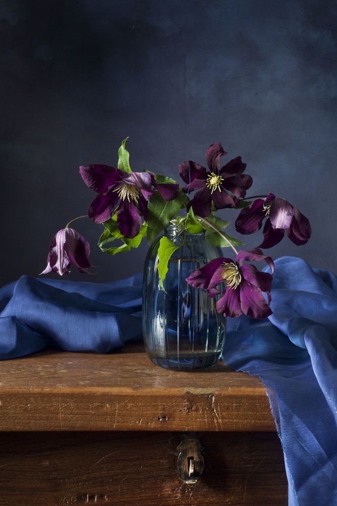 Photograph by Екатерина Панфилова