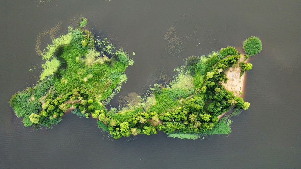 Фотография автора Коротков Алексей