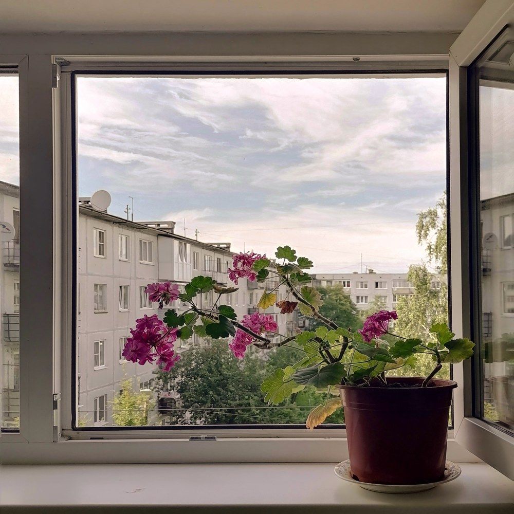 Photograph by Ирина Забродина